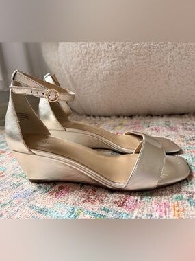 Ann Taylor Metallic Champagne Wedge Sandals